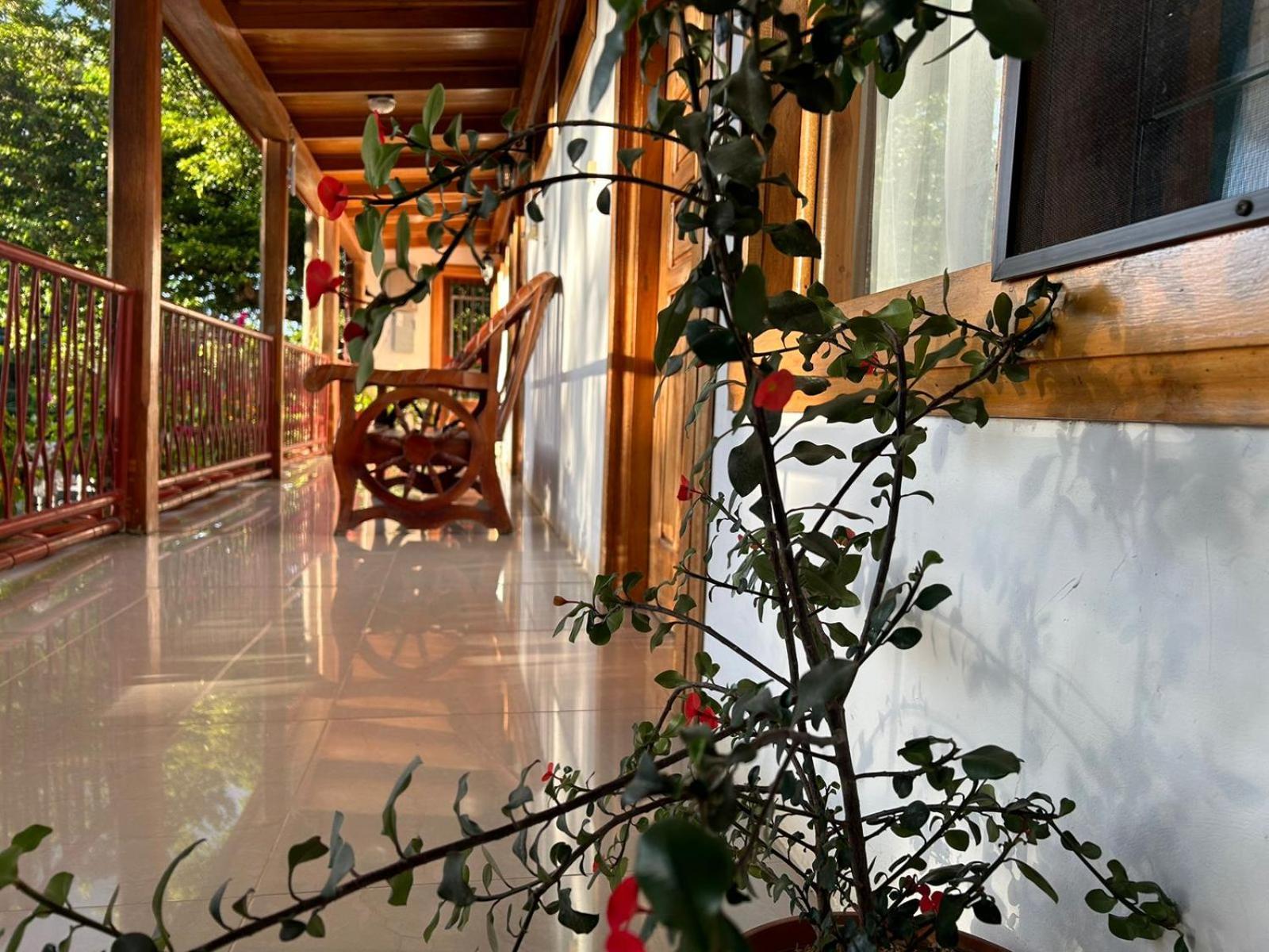 Hotel Javy Liberia Exterior photo