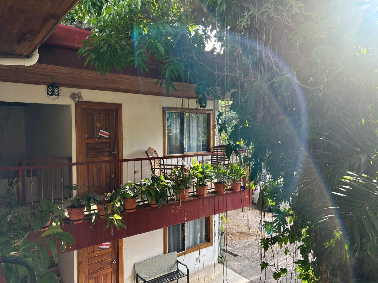 Hotel Javy Liberia Exterior photo